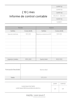 Informe de inspección contable del club escolar en blanco y negro y con líneas limpias