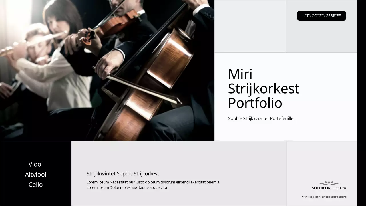 Zwart en grijs performing group portfolio