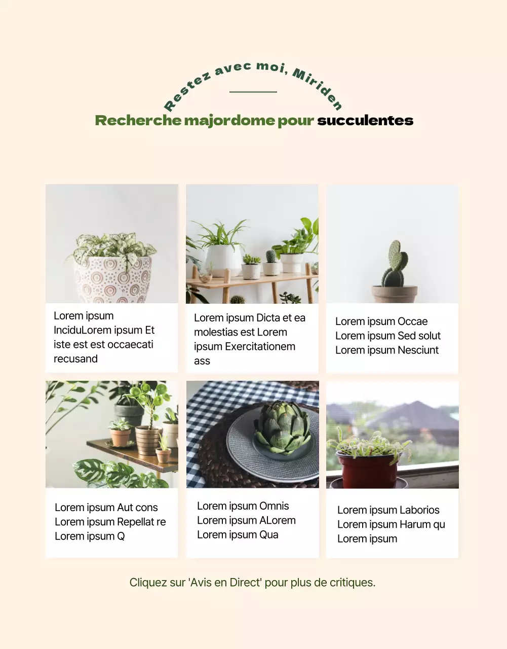 Une boutique spécialisée dans les succulentes vertes et adorables (plus)