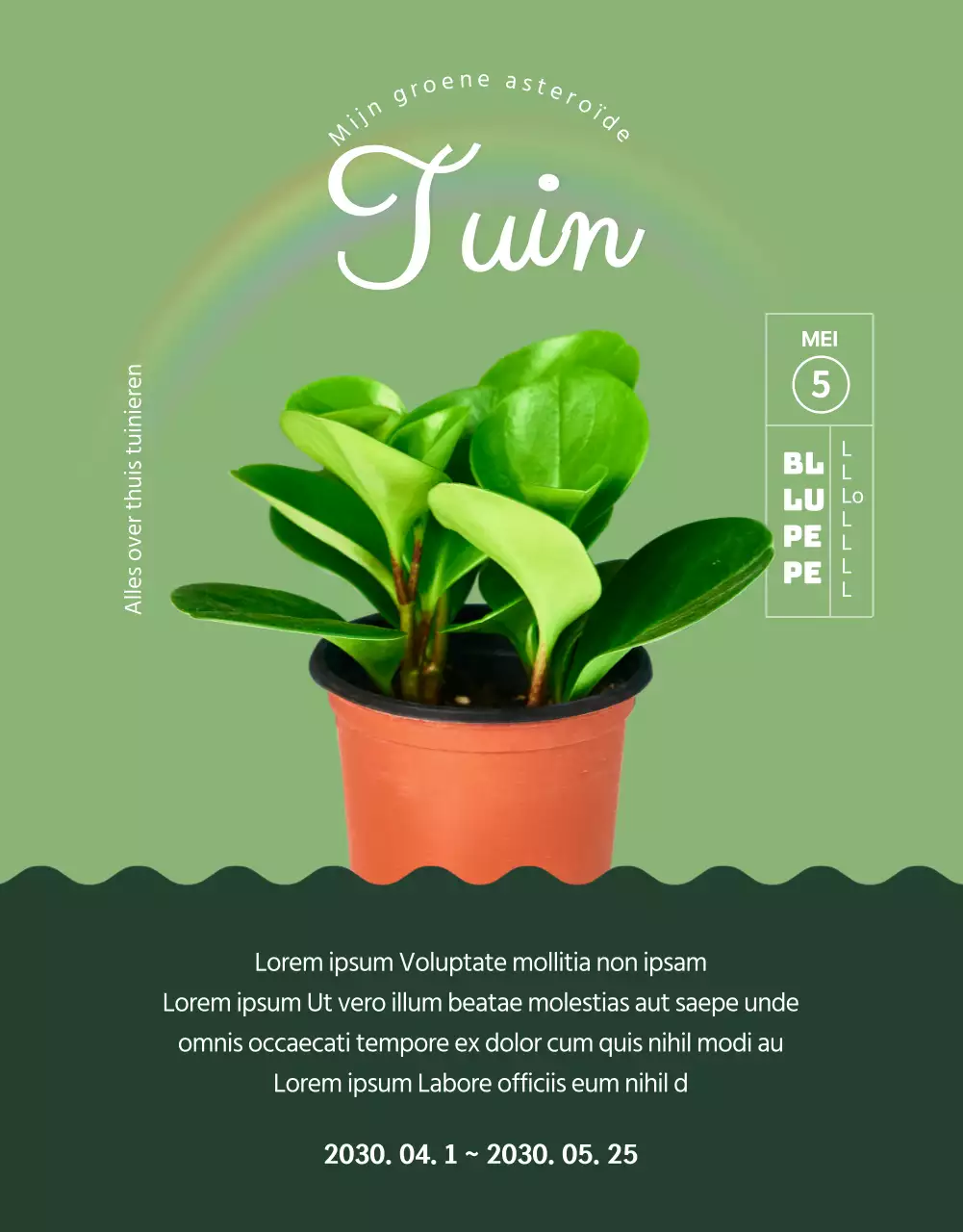 Een winkel gespecialiseerd in groene en schattige vetplanten (meer)