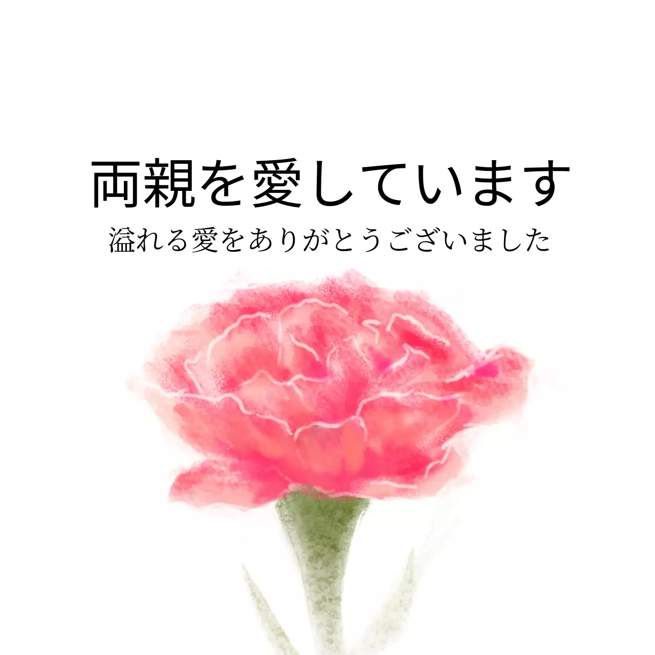 ピンクのカーネーションの母の日の感謝の気持ちを込めて
