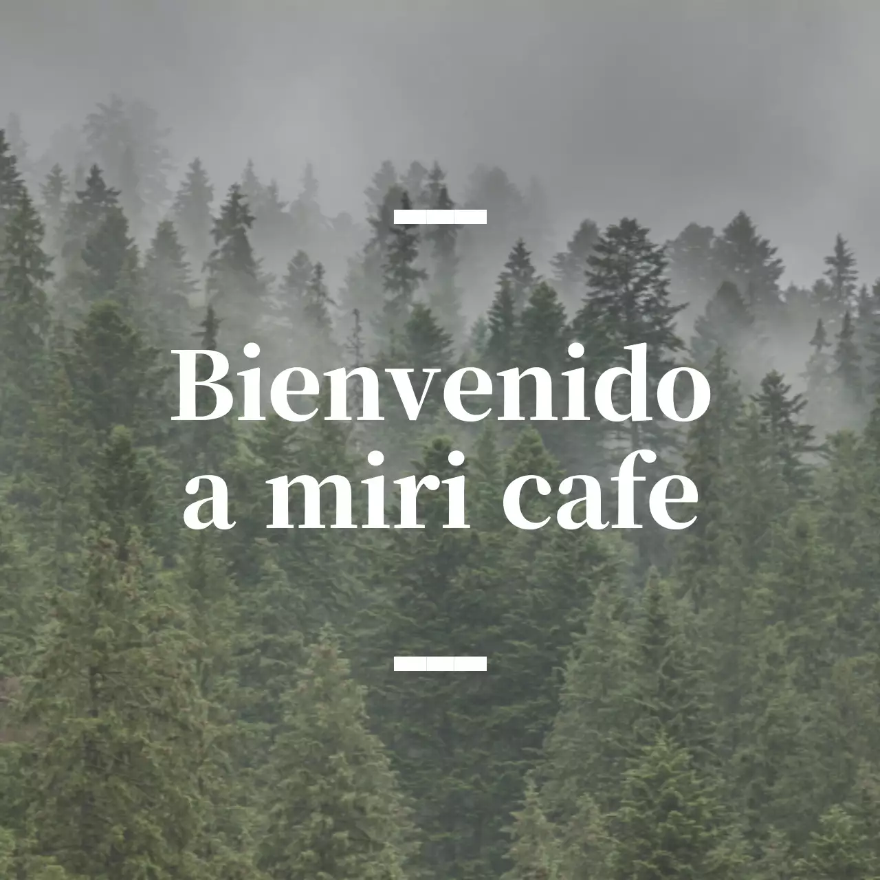 Café balsa en inglés con rótulo sentimental en el que aparece una foto de un bosque.