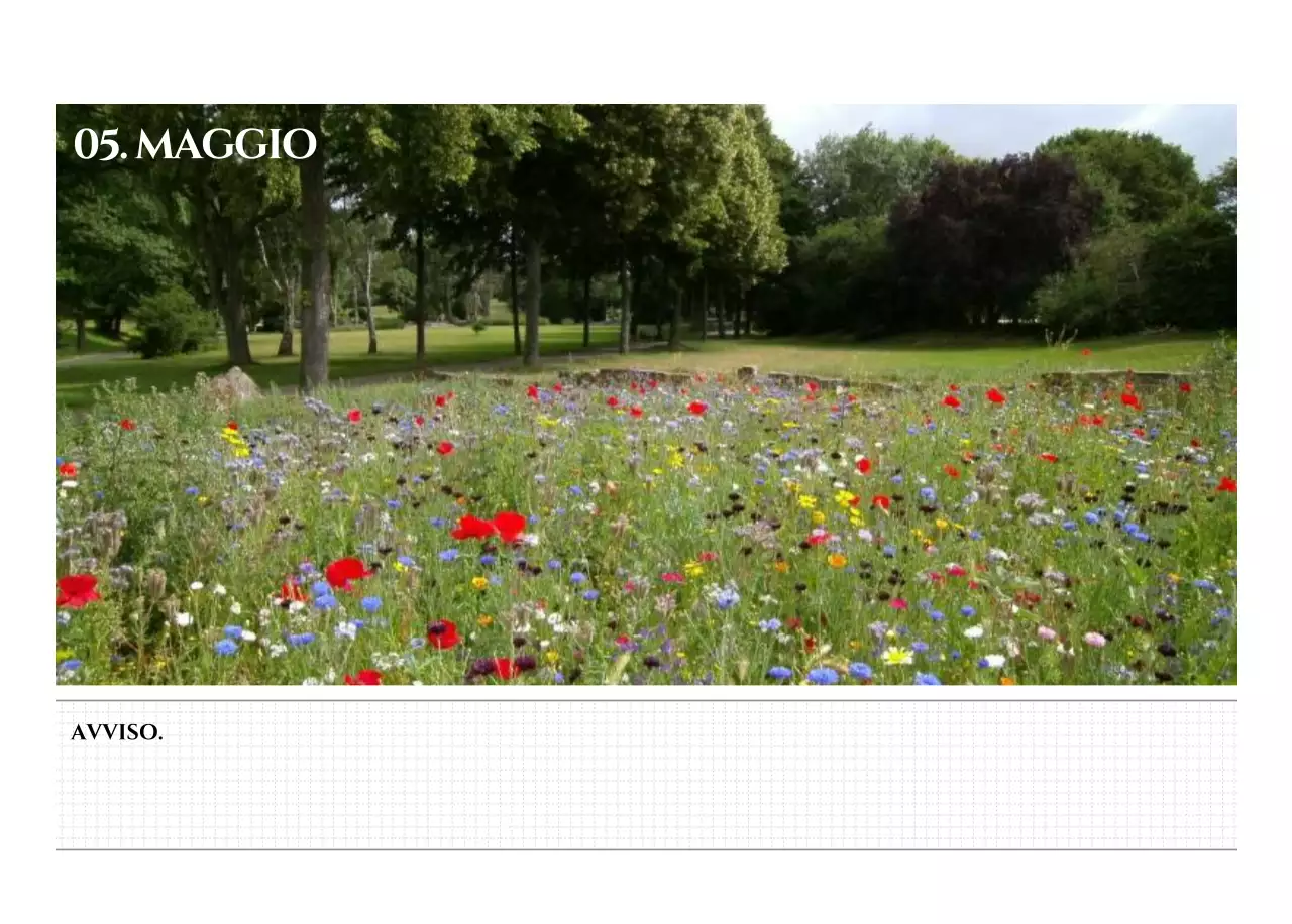 Calendario da parete in stile semplice con concetto di fotografia di viaggio emozionale in bianco e nero