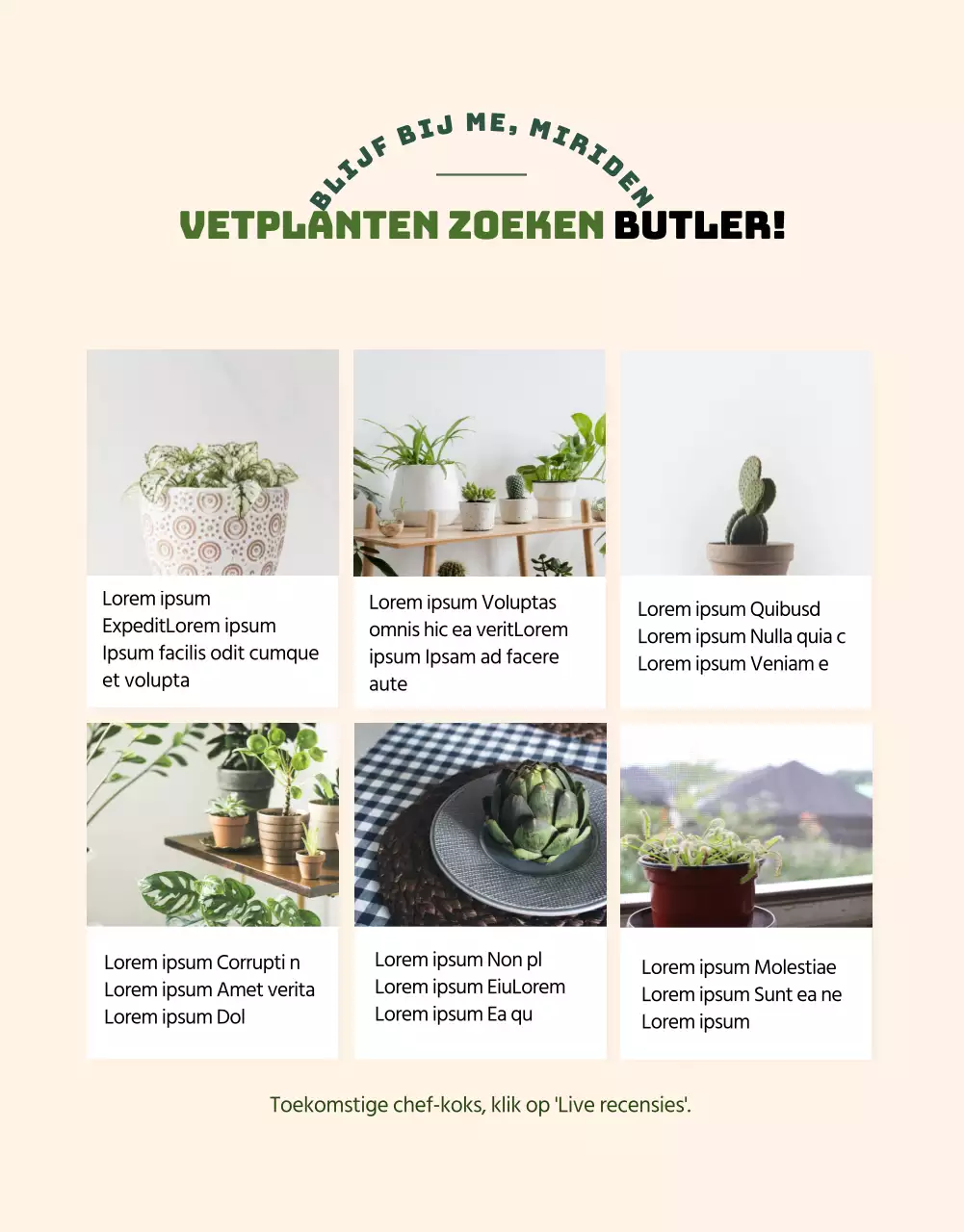 Een winkel gespecialiseerd in groene en schattige vetplanten (meer)