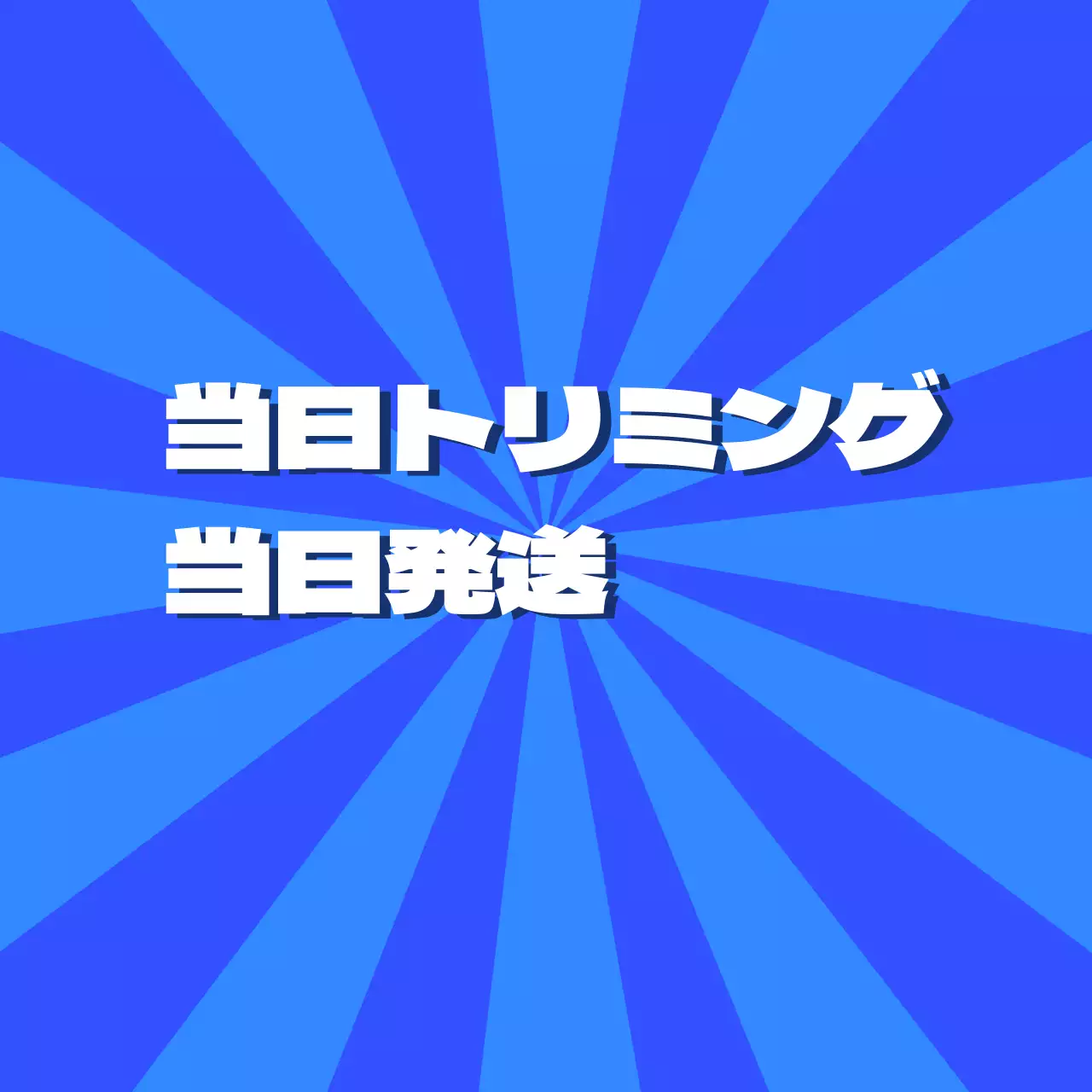 水産物当日加工・当日配送