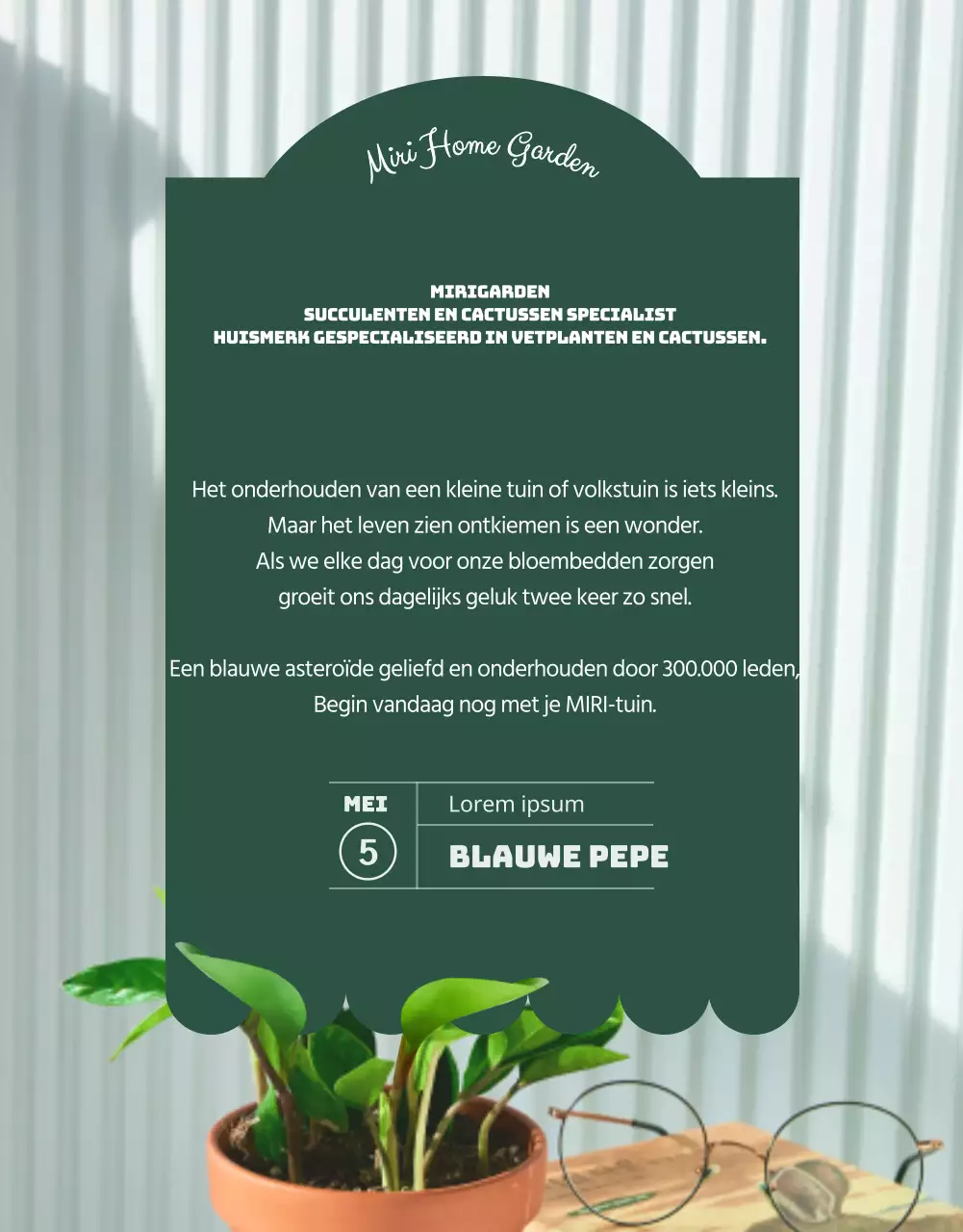 Een winkel gespecialiseerd in groene en schattige vetplanten (meer)