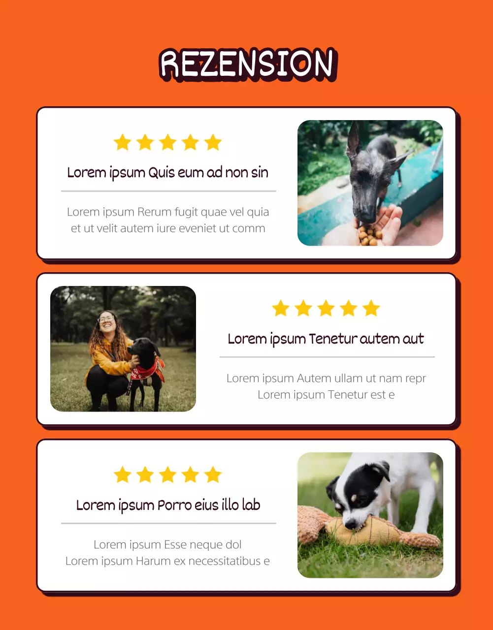 Pop-Art-Stil Illustration eines niedlichen Konzept in orange und gelb Pet Shop mit einem Haustier Verkauf