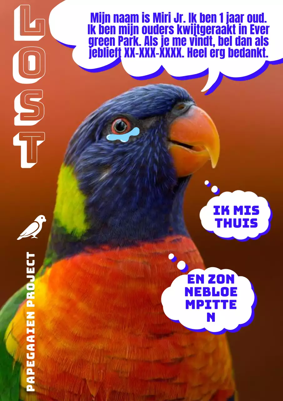 Zoek een schattige papegaai in oranje blauwe flyer 2