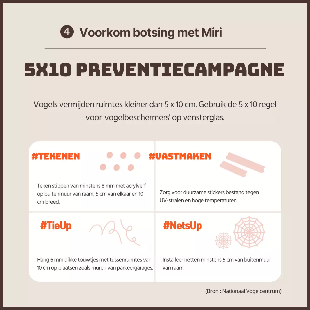 Een strakke anti-vogelaanrijdingscampagne met oranje accenten