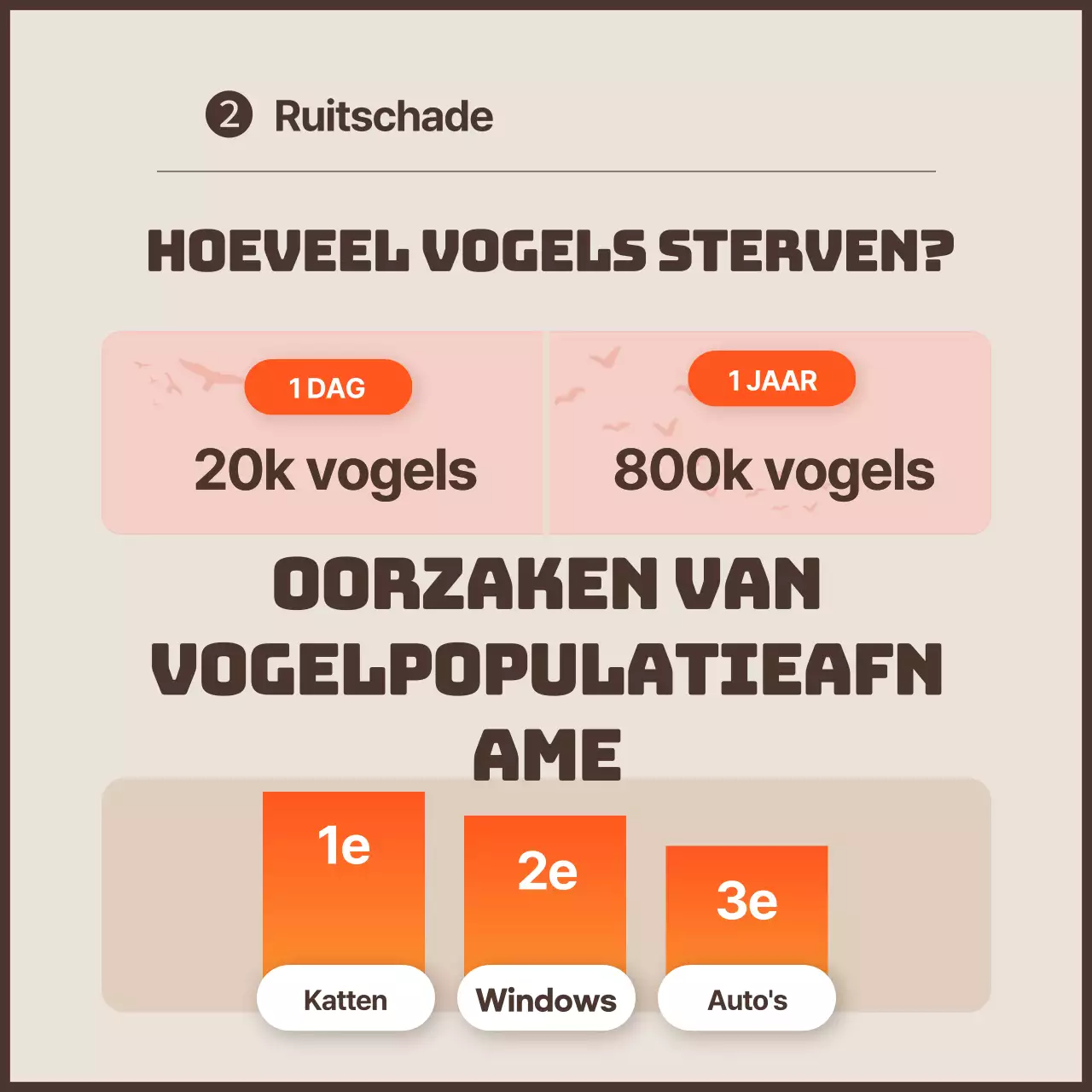 Een strakke anti-vogelaanrijdingscampagne met oranje accenten