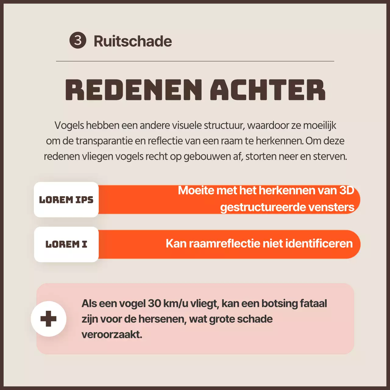 Een strakke anti-vogelaanrijdingscampagne met oranje accenten