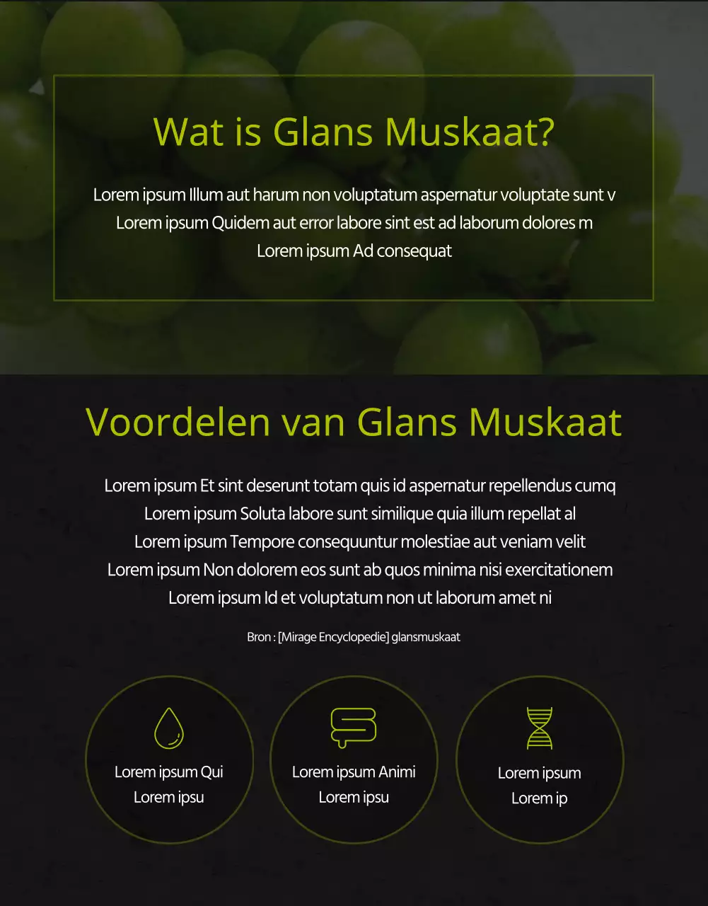 Premium hoge suiker glans muscat in zwart en groen voor fondsenwerving verkoopbevordering lokale boeren klein bedrijf lokale voeding