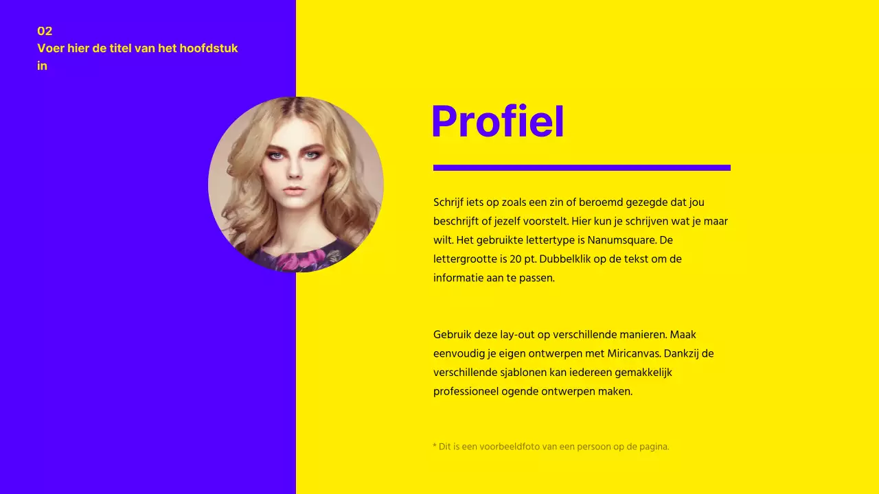 Presentatie portfolio