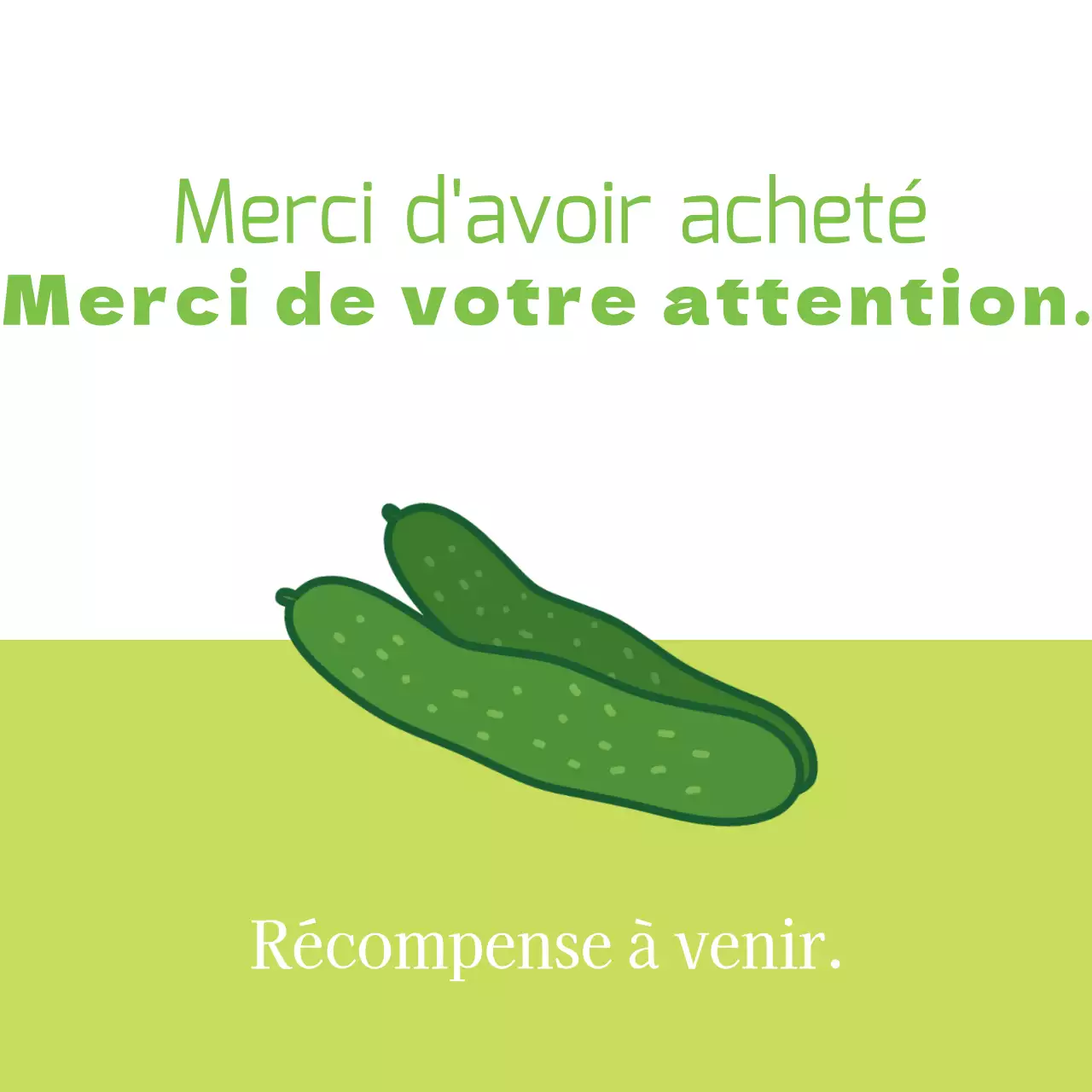 Audits d'expédition