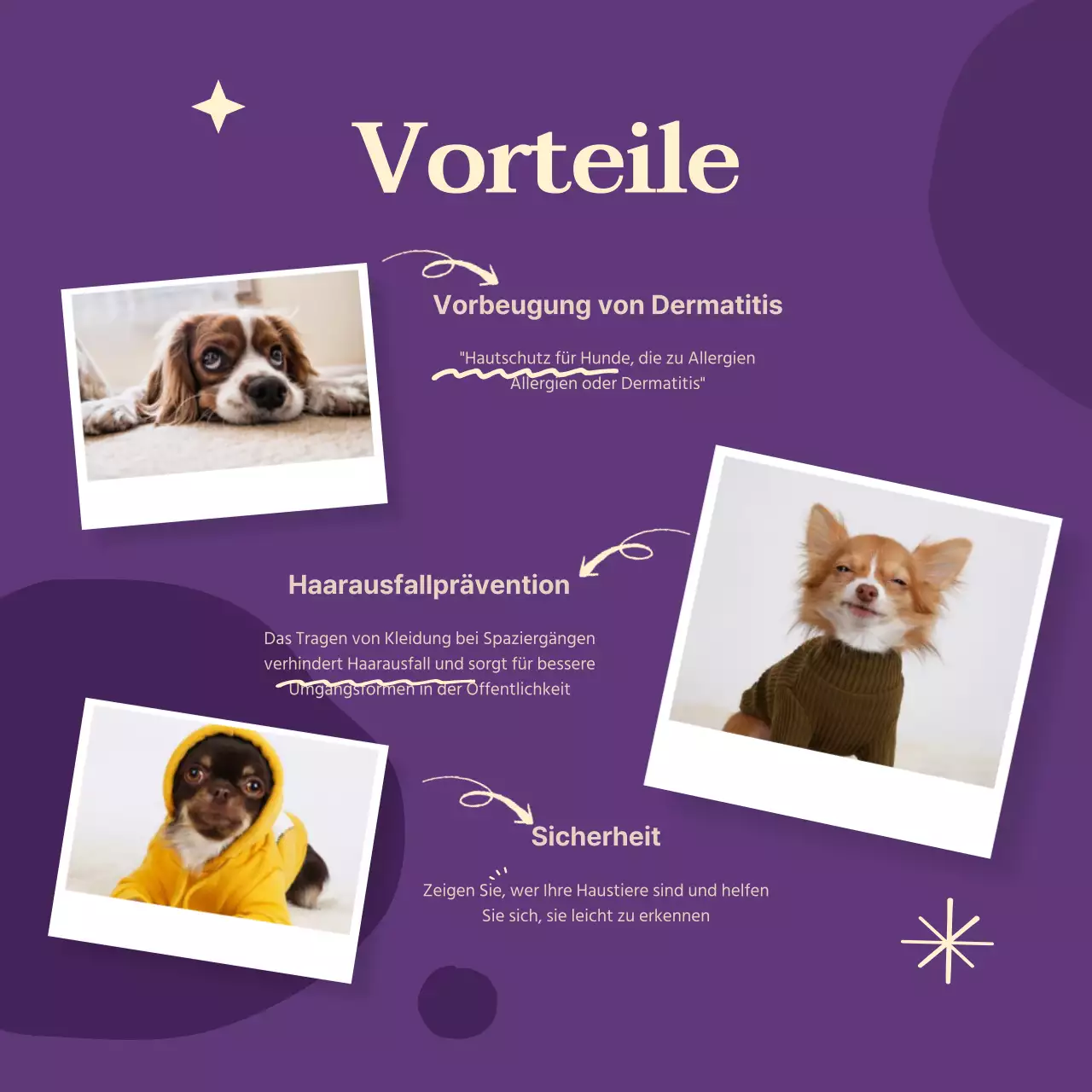 Leuchtend bunte Hundekleidung