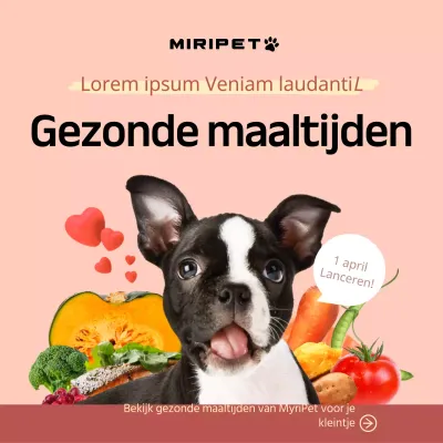 Promoot dierenvoeding met foto's van schattige honden en ingrediënten op een roze achtergrond