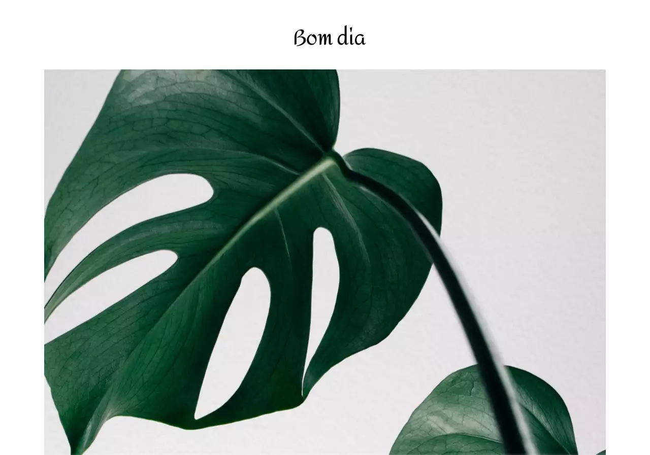 Fotografia botânica sentimental e caligrafia