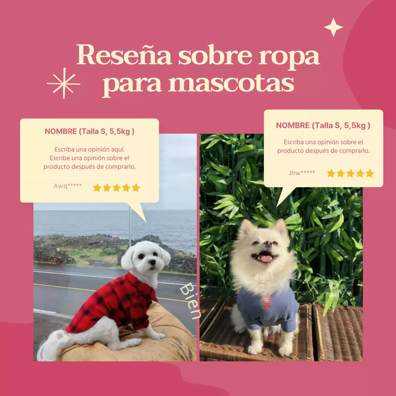 Ropa para perros de colores vivos