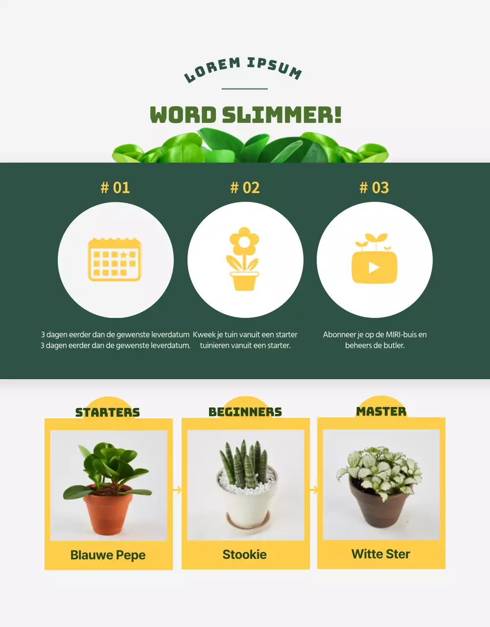 Een winkel gespecialiseerd in groene en schattige vetplanten (meer)