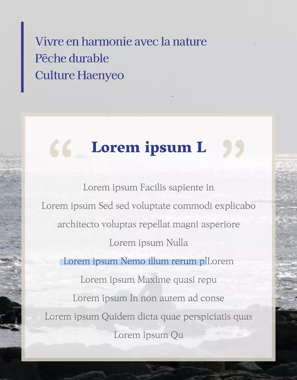 Financement discret de baguettes en marine et beige