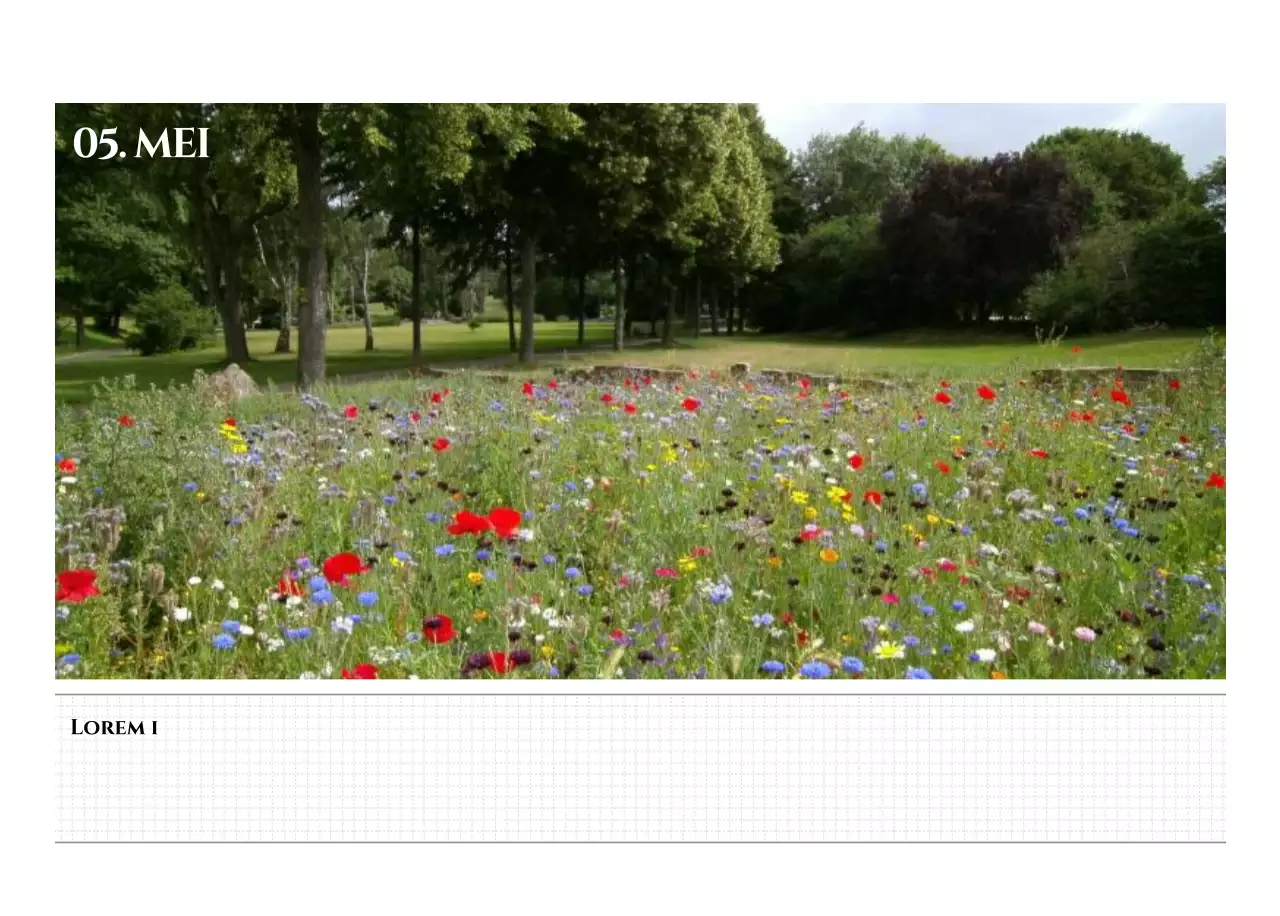 Eenvoudige stijl muurkalender met zwart-wit emotionele reisfotografie concept