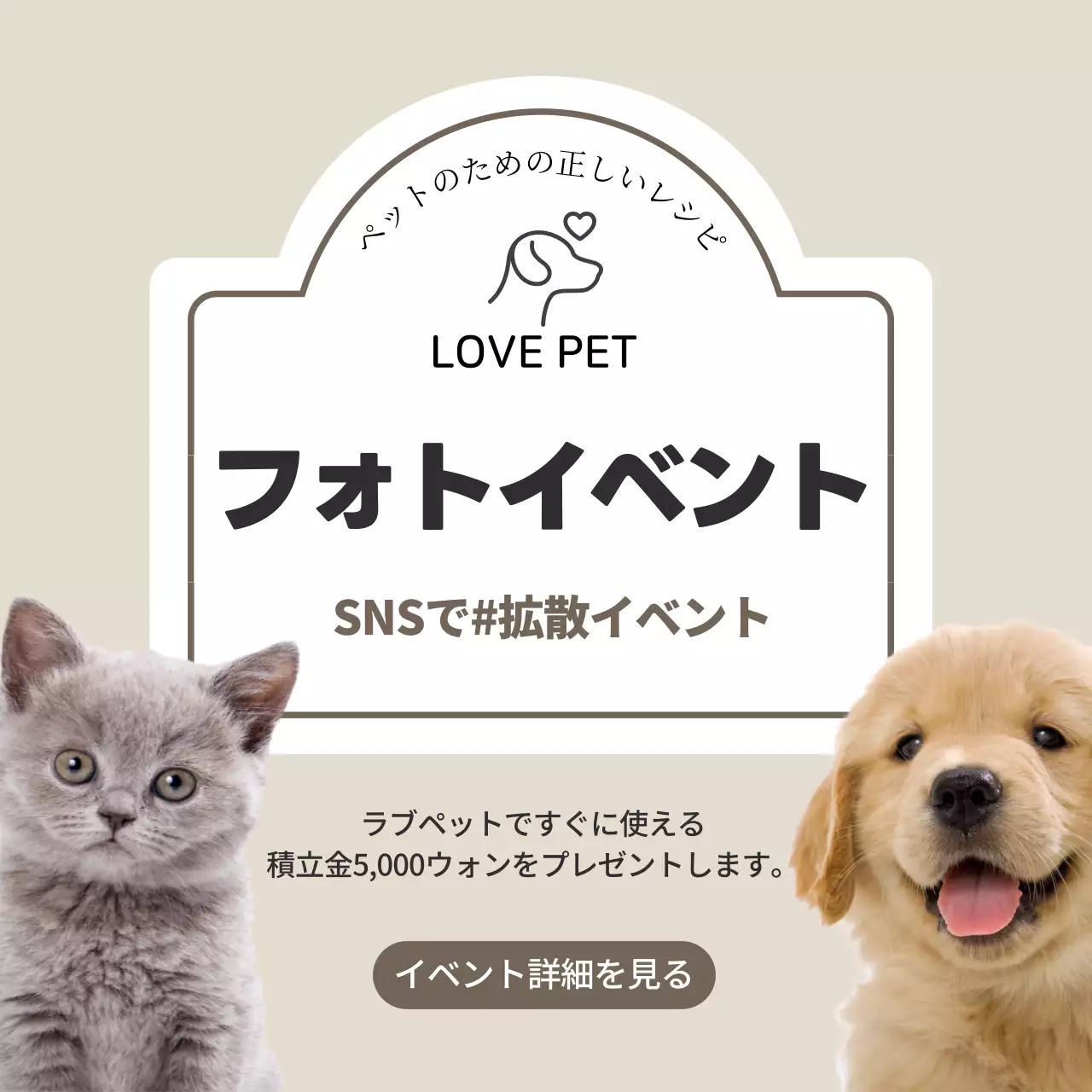 ベージュ シンプル ペット お知らせ SNS投稿 正方形