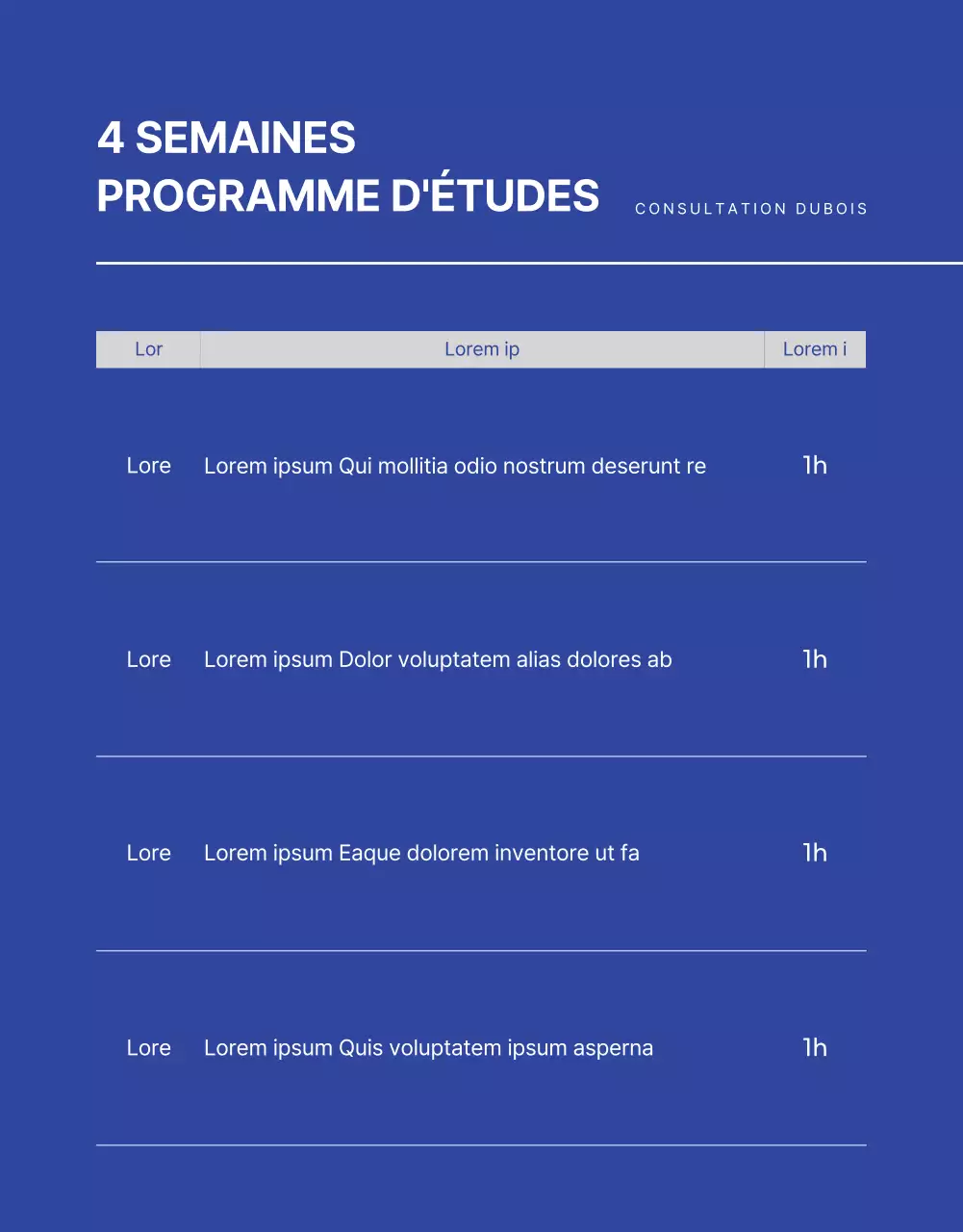 Blue and Monotone Job Interview Consultancy page détaillée