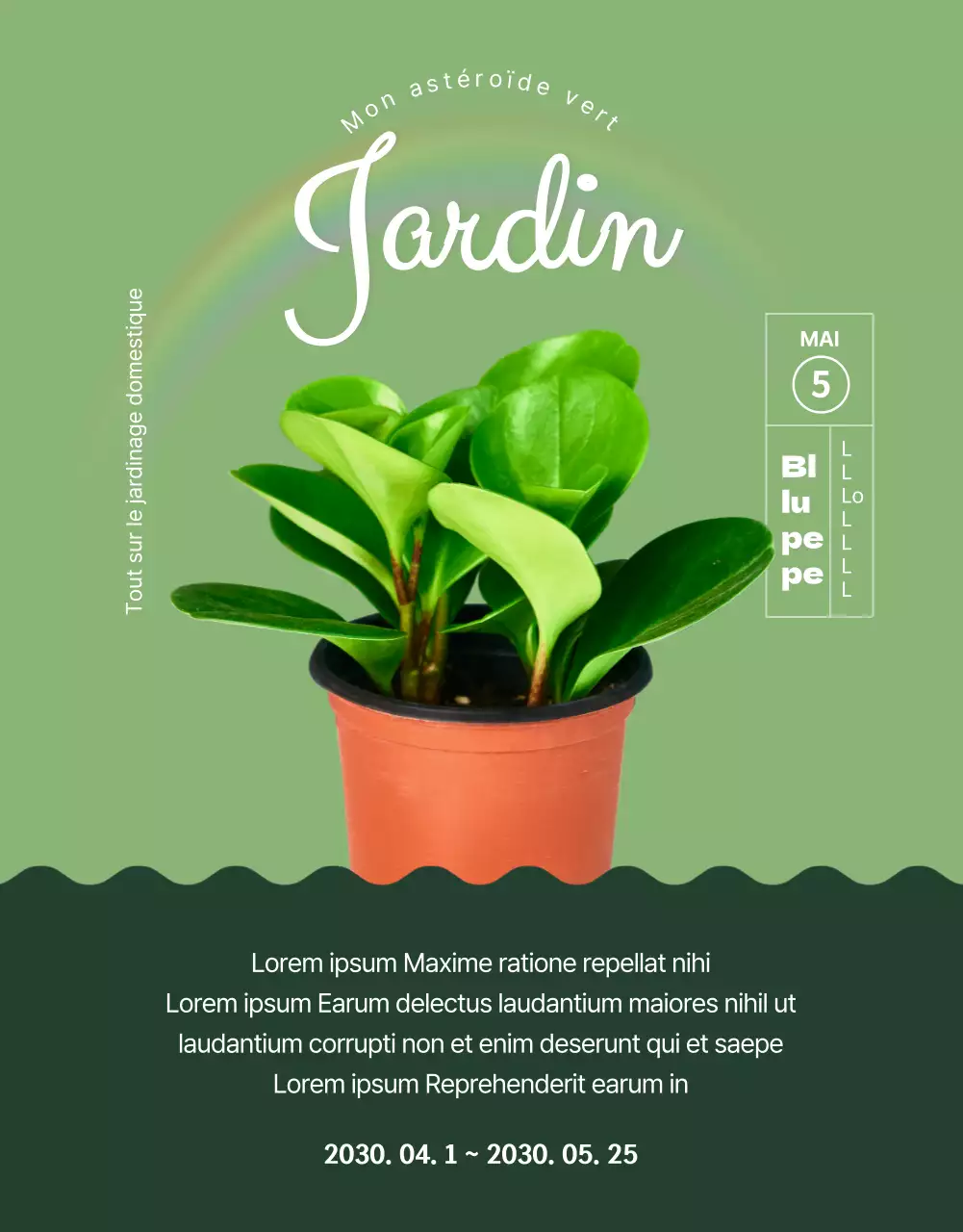 Une boutique spécialisée dans les succulentes vertes et adorables (plus)