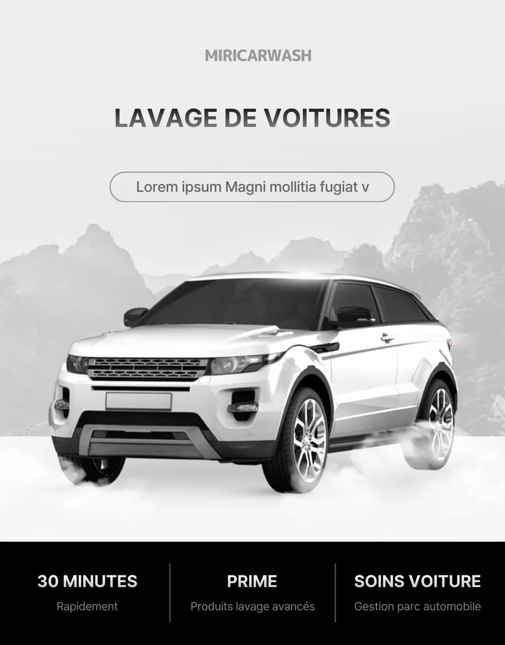 Lavage à la main de voitures blanches et noires