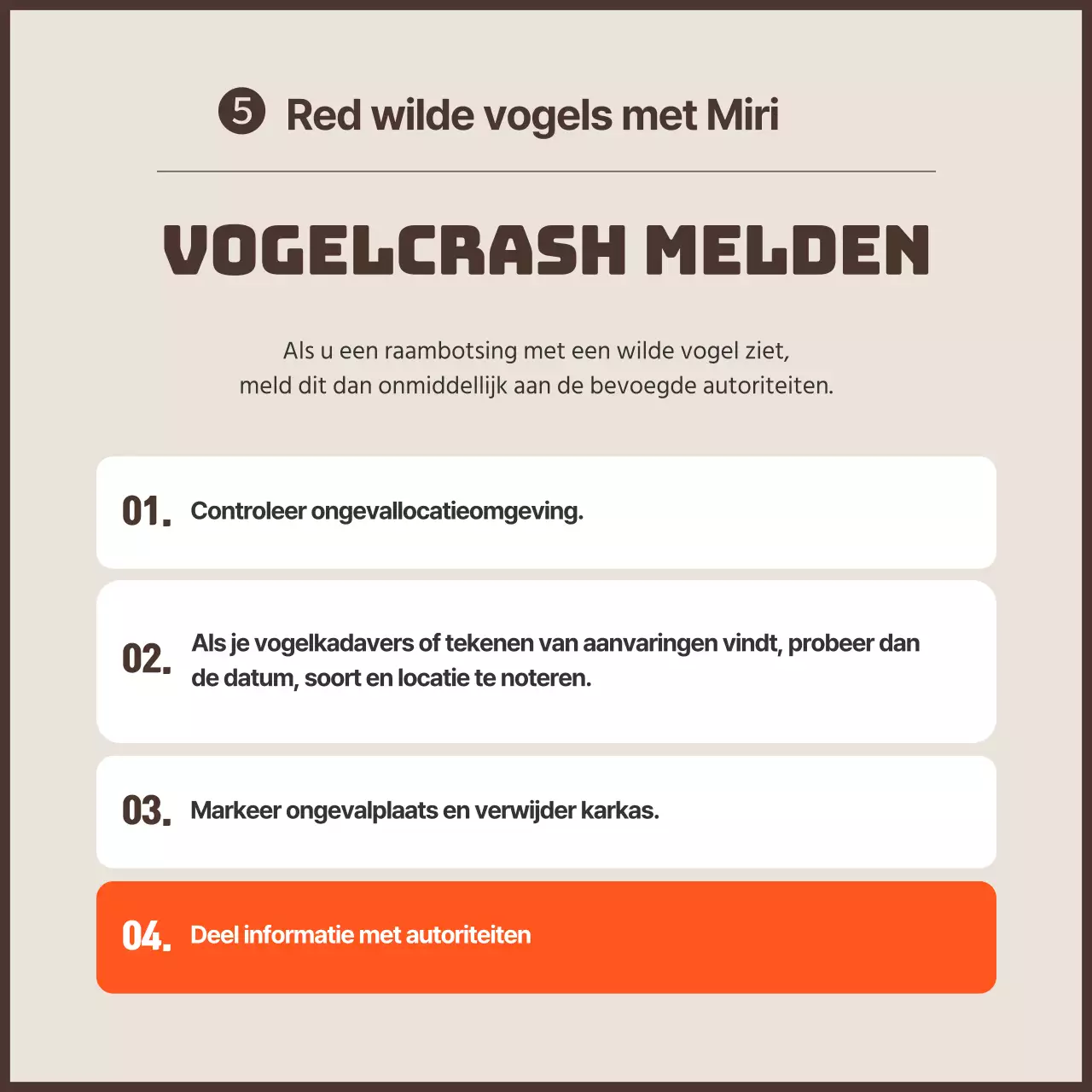 Een strakke anti-vogelaanrijdingscampagne met oranje accenten