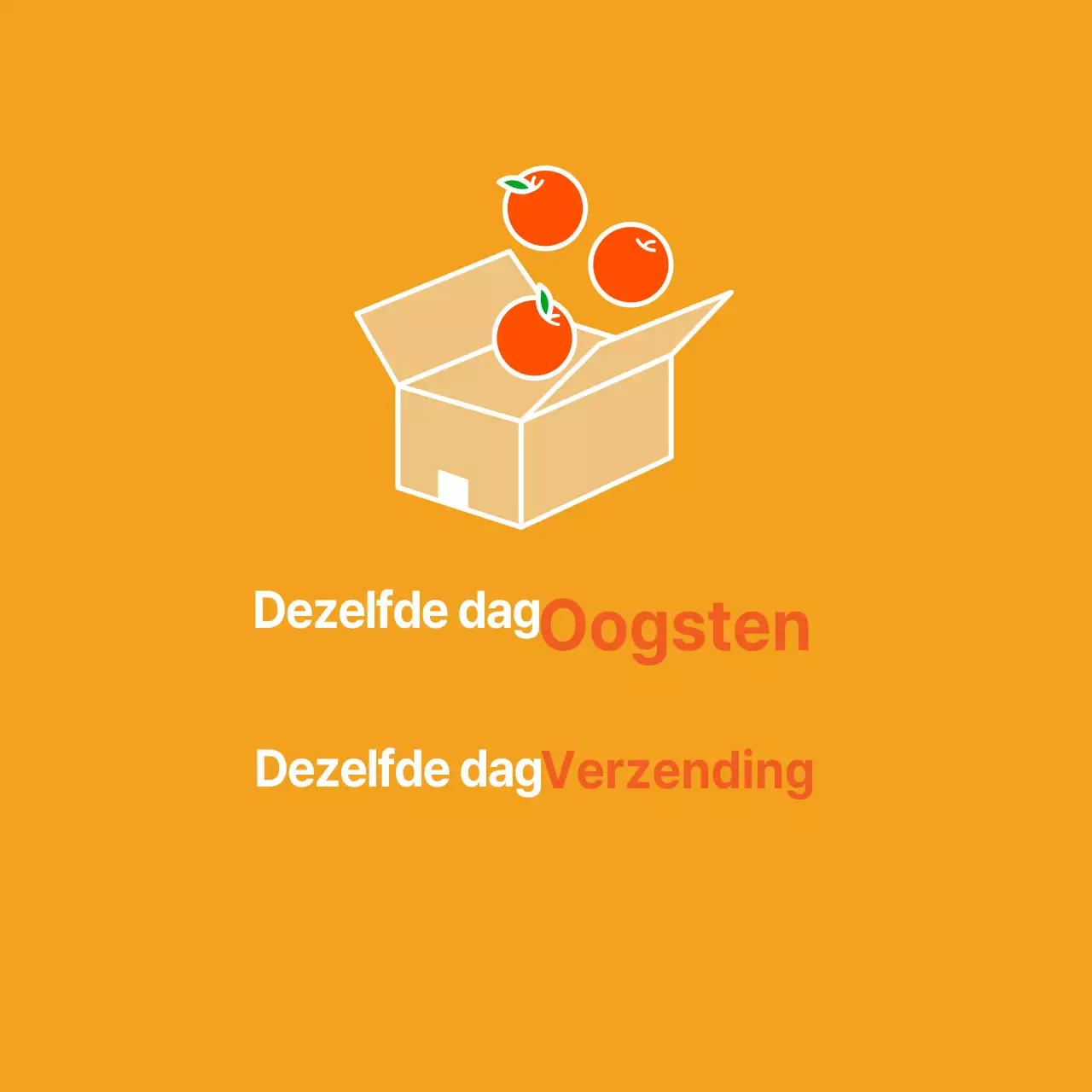 Afhalen van producten op dezelfde dag