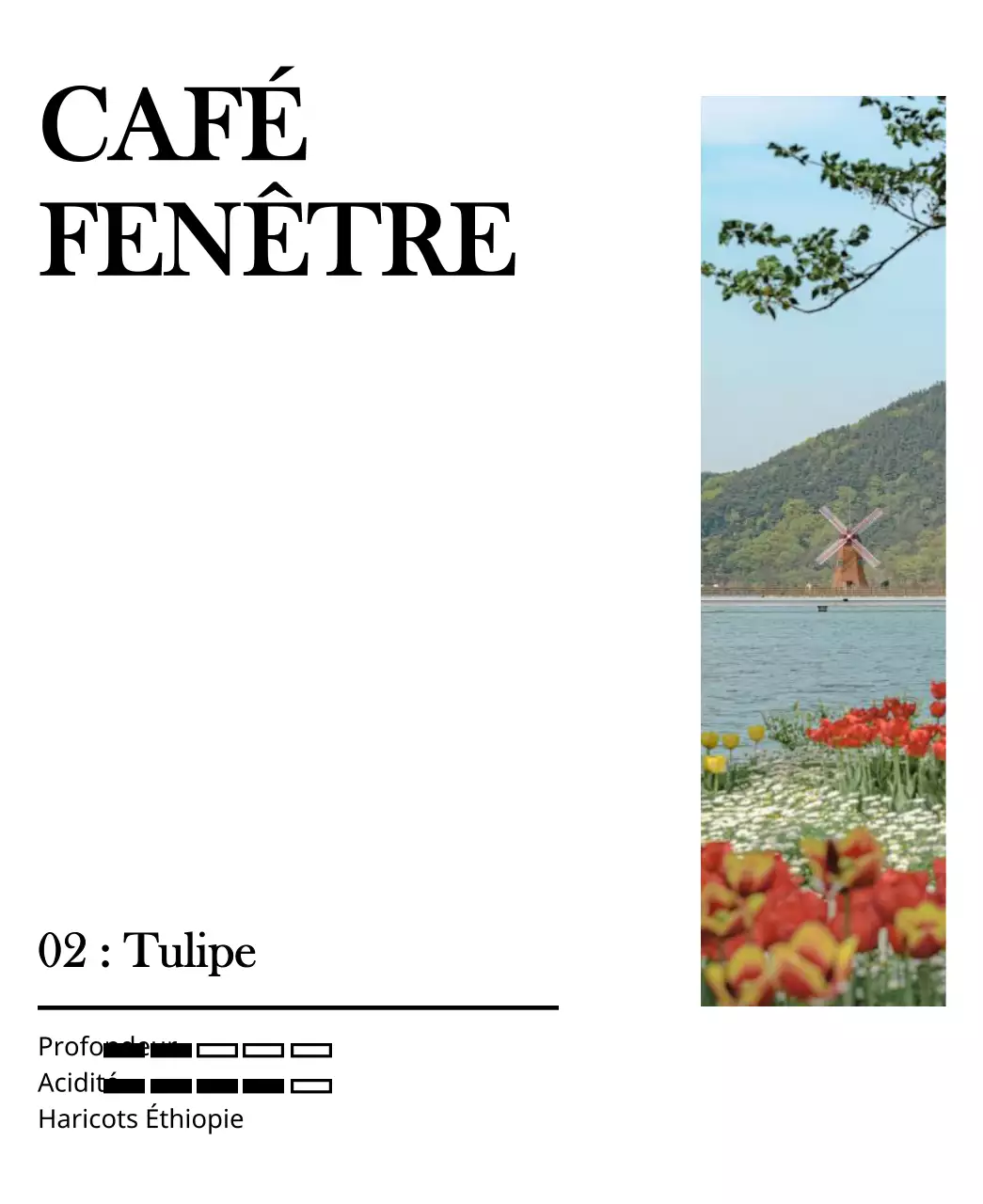 Un dessin simple avec une tulipe noire, photo de paysage de tulipe vintage