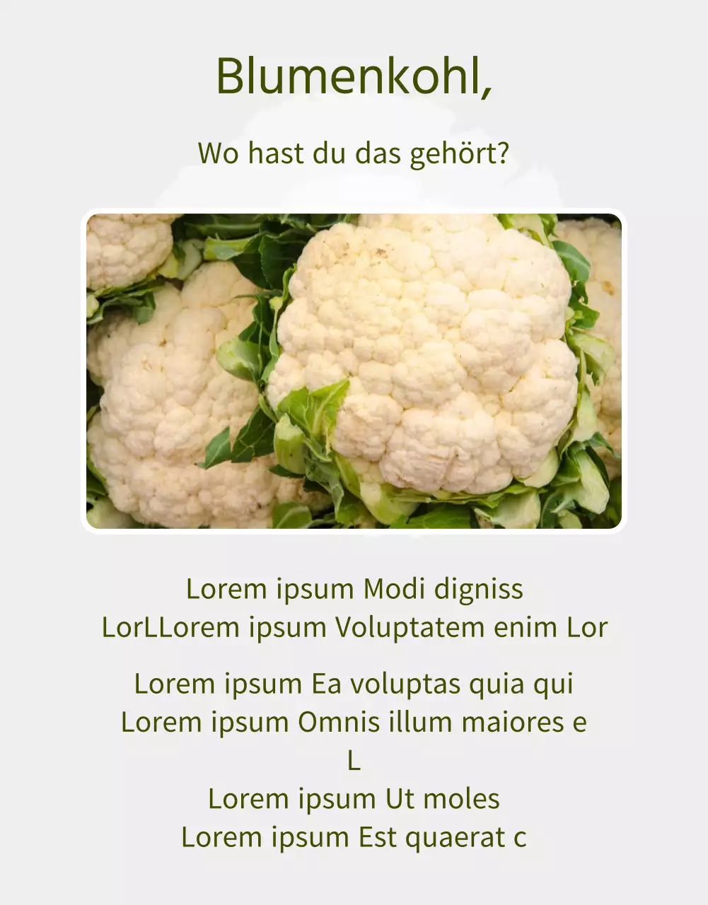 Produktbeschreibung des Blumenkohlhofs mit einer hellgrünen Aquarellfarbe