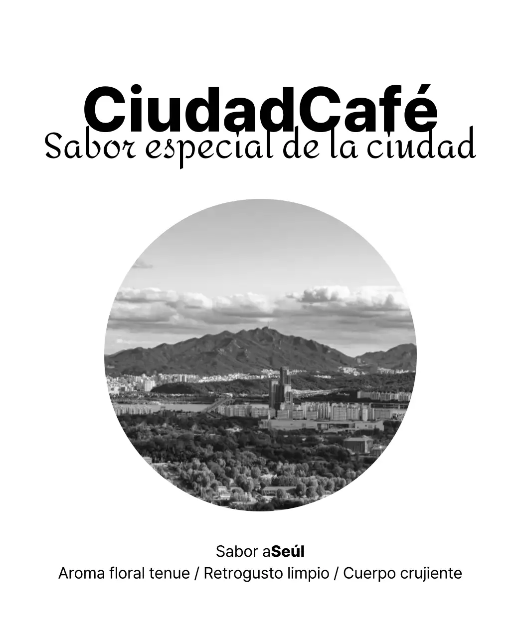 Diseño sencillo con fotografía de paisaje en blanco y negro