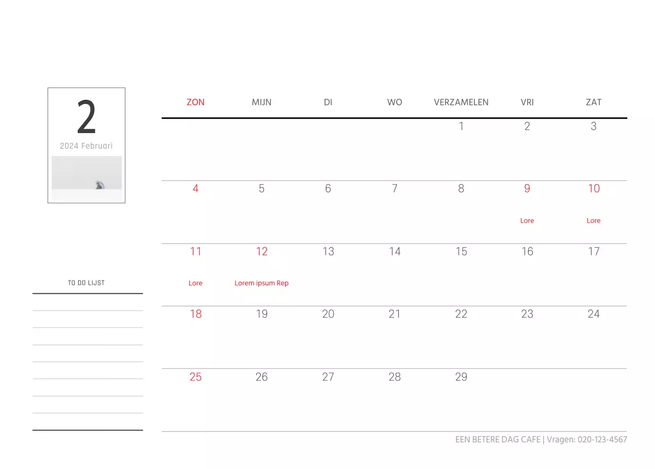 Witte schone botanische natuur