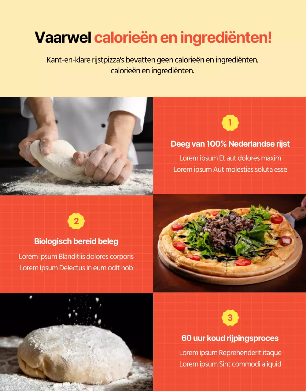 Oranje en elleboogkleurige pizza financiering details