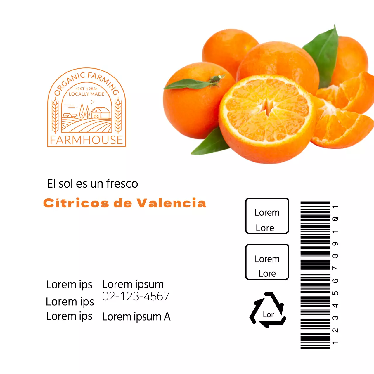 Etiqueta limpia de cítricos de Jeju blanco-naranja