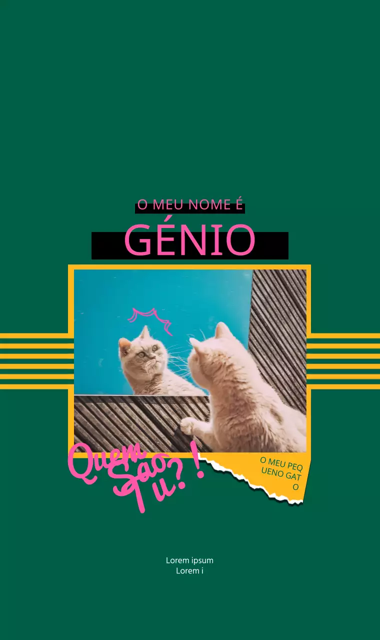 Fotos e frases de gatos com conceitos divertidos em cores vivas e brilhantes