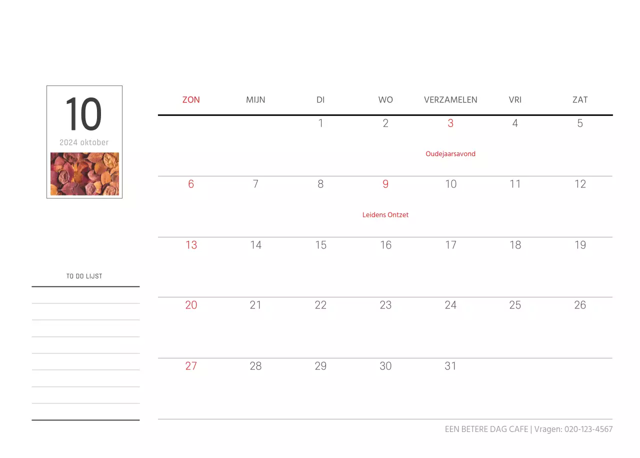 Witte schone botanische natuur