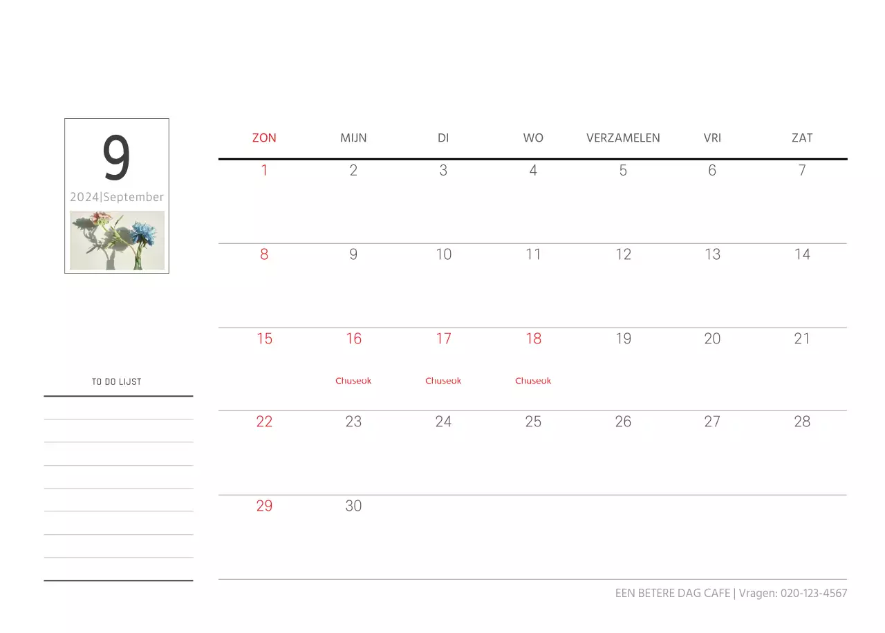 Witte schone botanische natuur