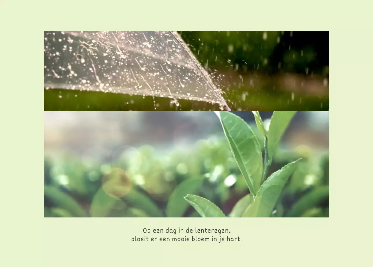 Witte schone botanische natuur