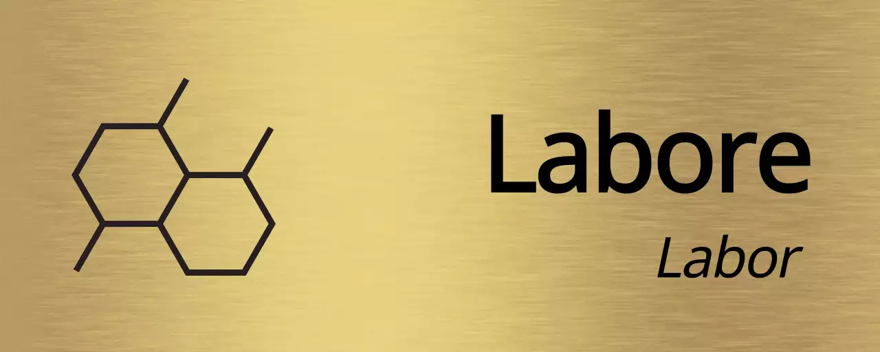 Platzhalter in Schwarz mit dem Namen der Abteilung Ihres Unternehmens und einer einfachen Icon-Illustration