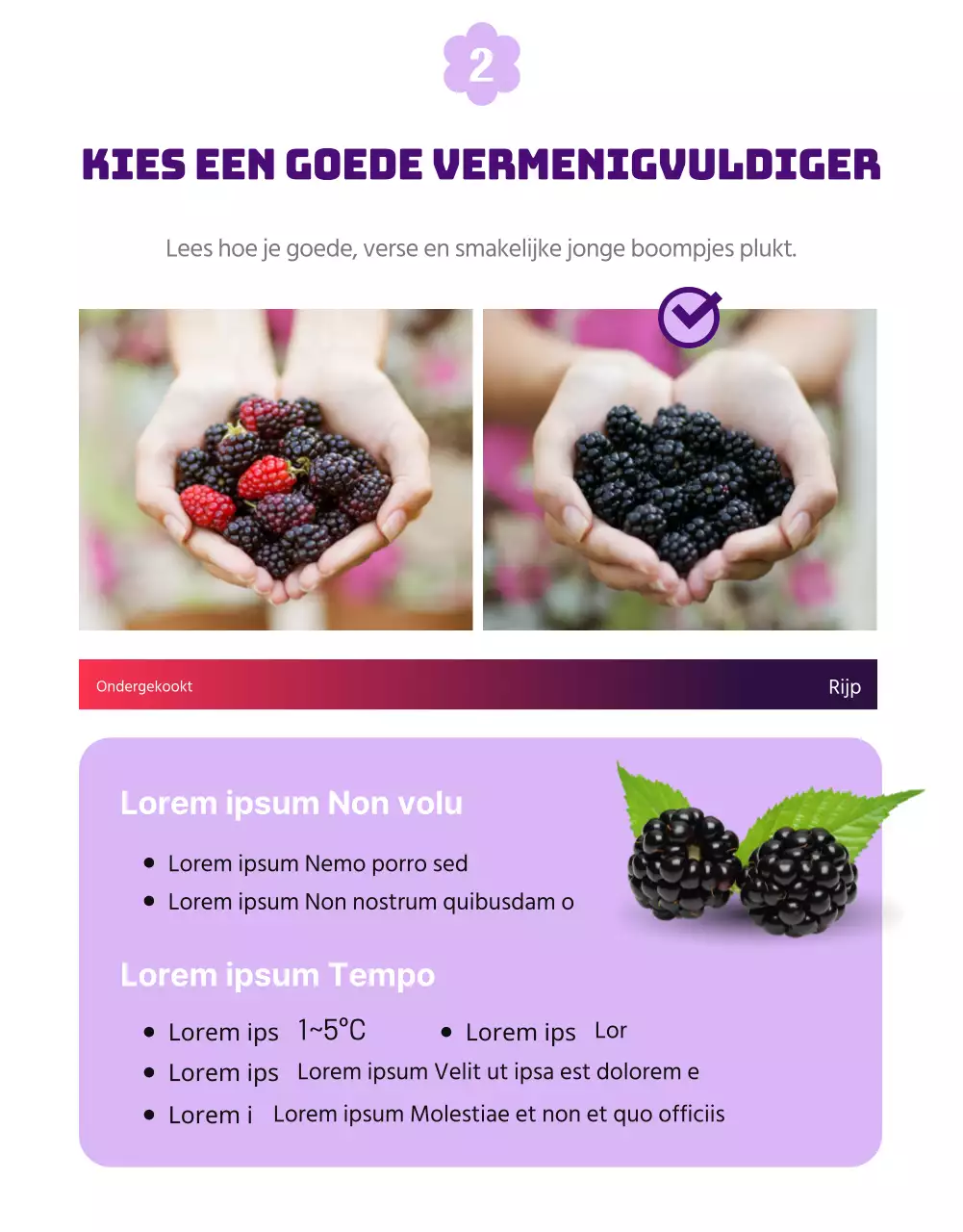 Een eenvoudig en mooi mauve en wit wambuis