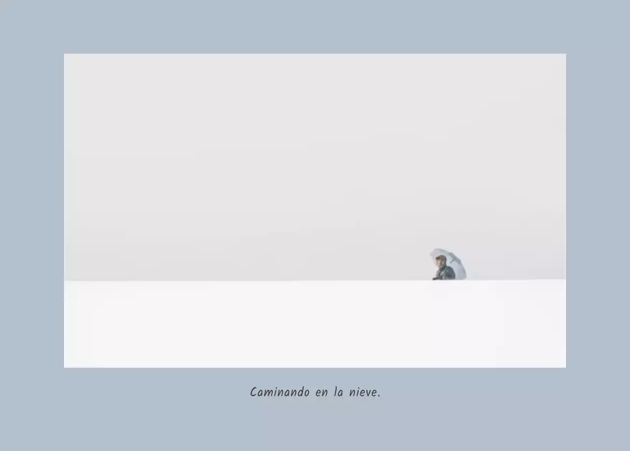 Blanco naturaleza botánica limpia