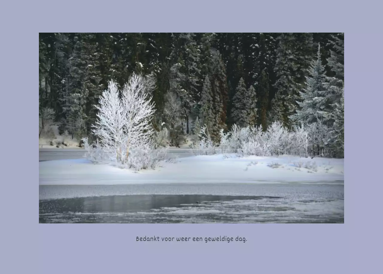 Witte schone botanische natuur