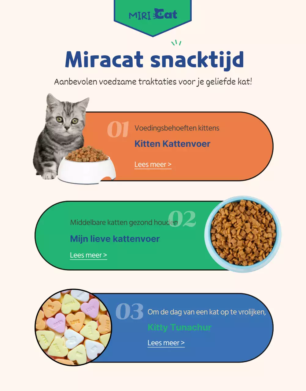 Een alles-in-één deal voor groene en marine kattenbenodigdheden