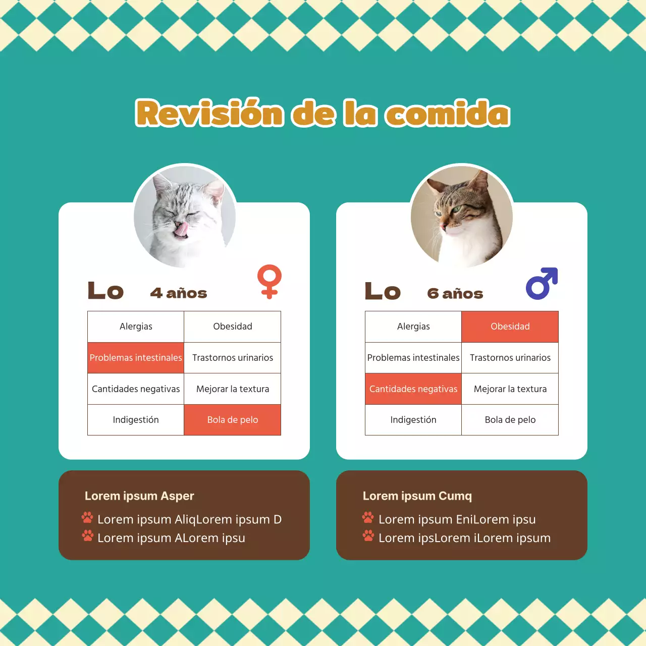 Acerca de esta cálida y adorable comida para perros y gatos de color turquesa y marrón