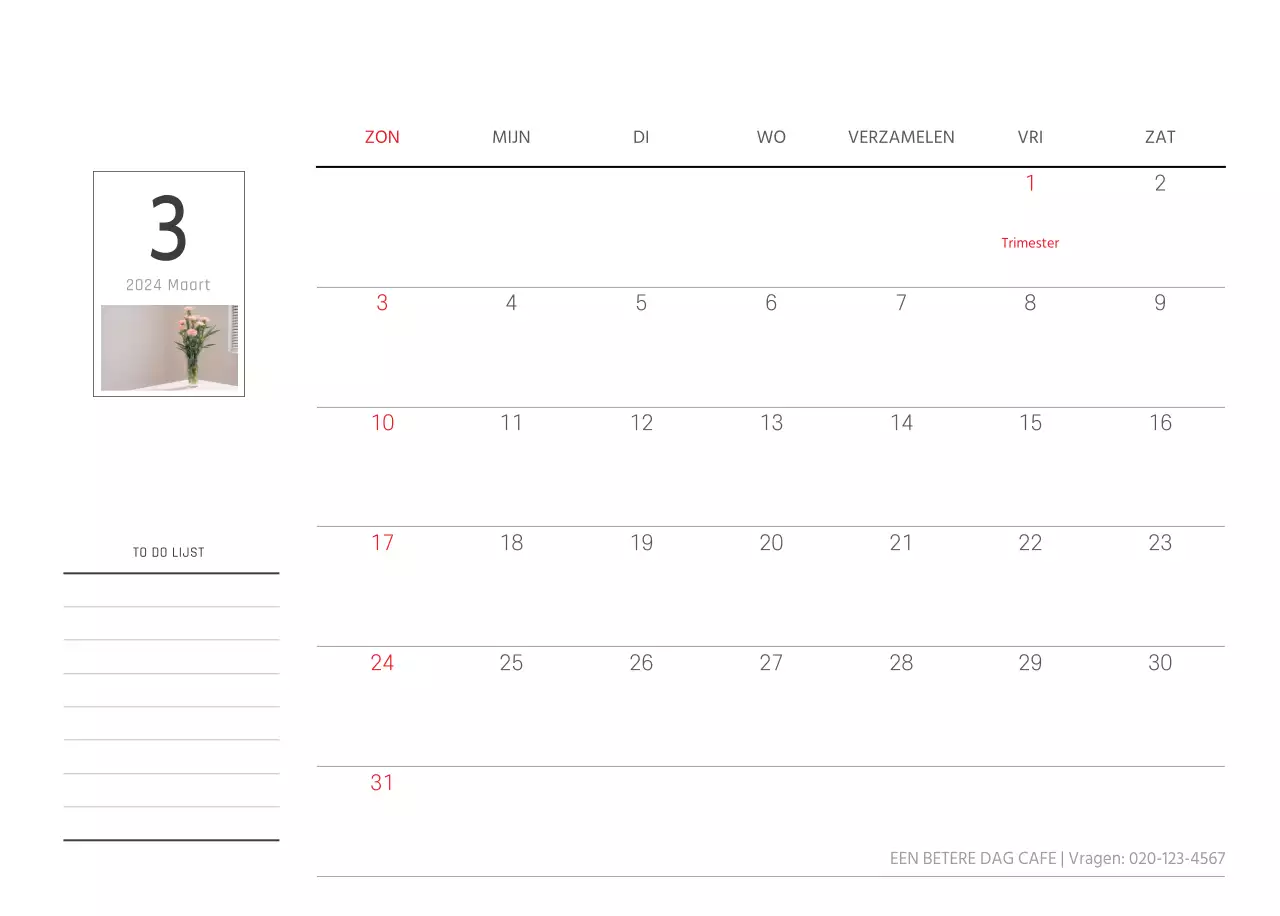 Witte schone botanische natuur