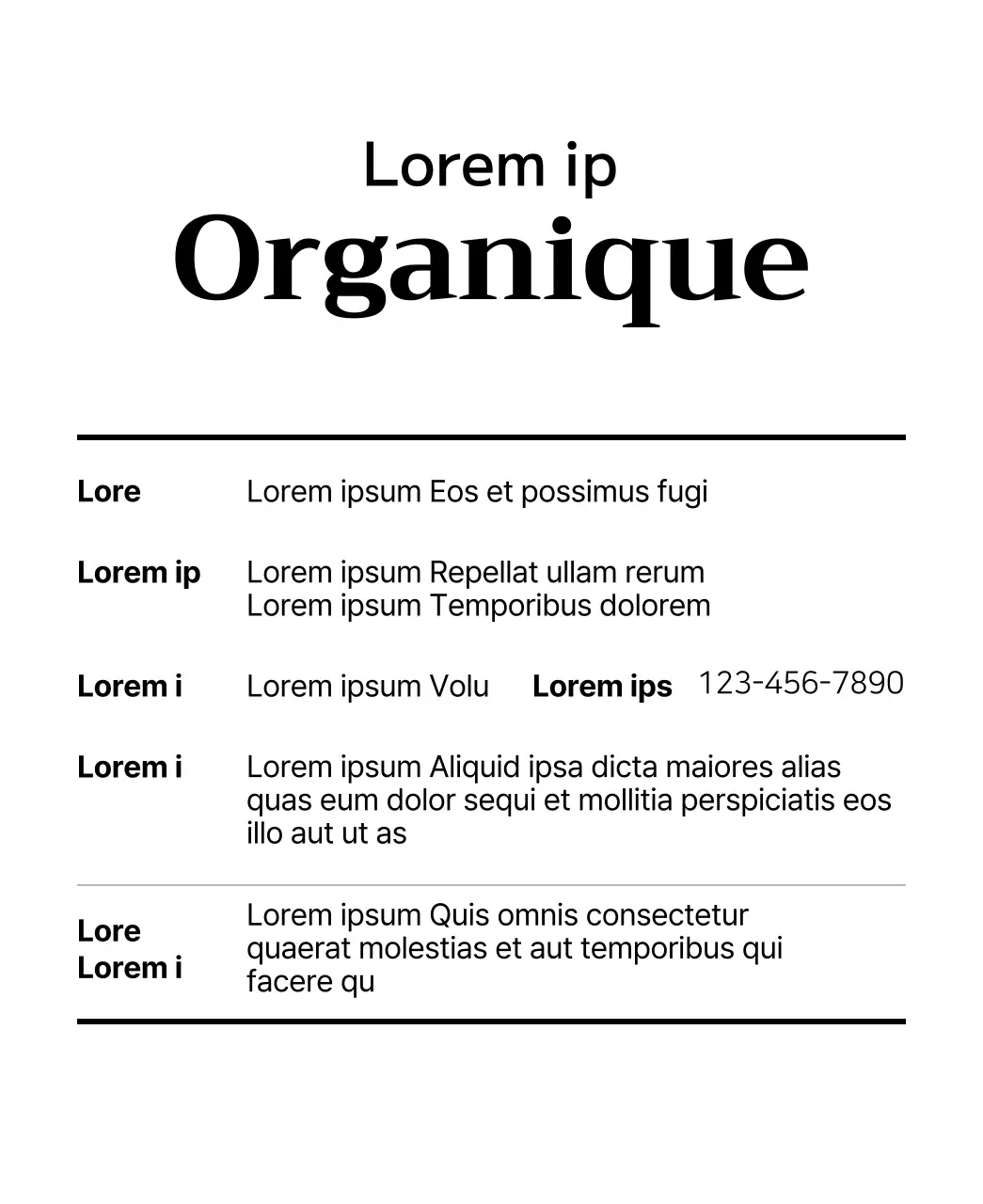 Sachets de thé aux fruits bio avec illustrations de fruits