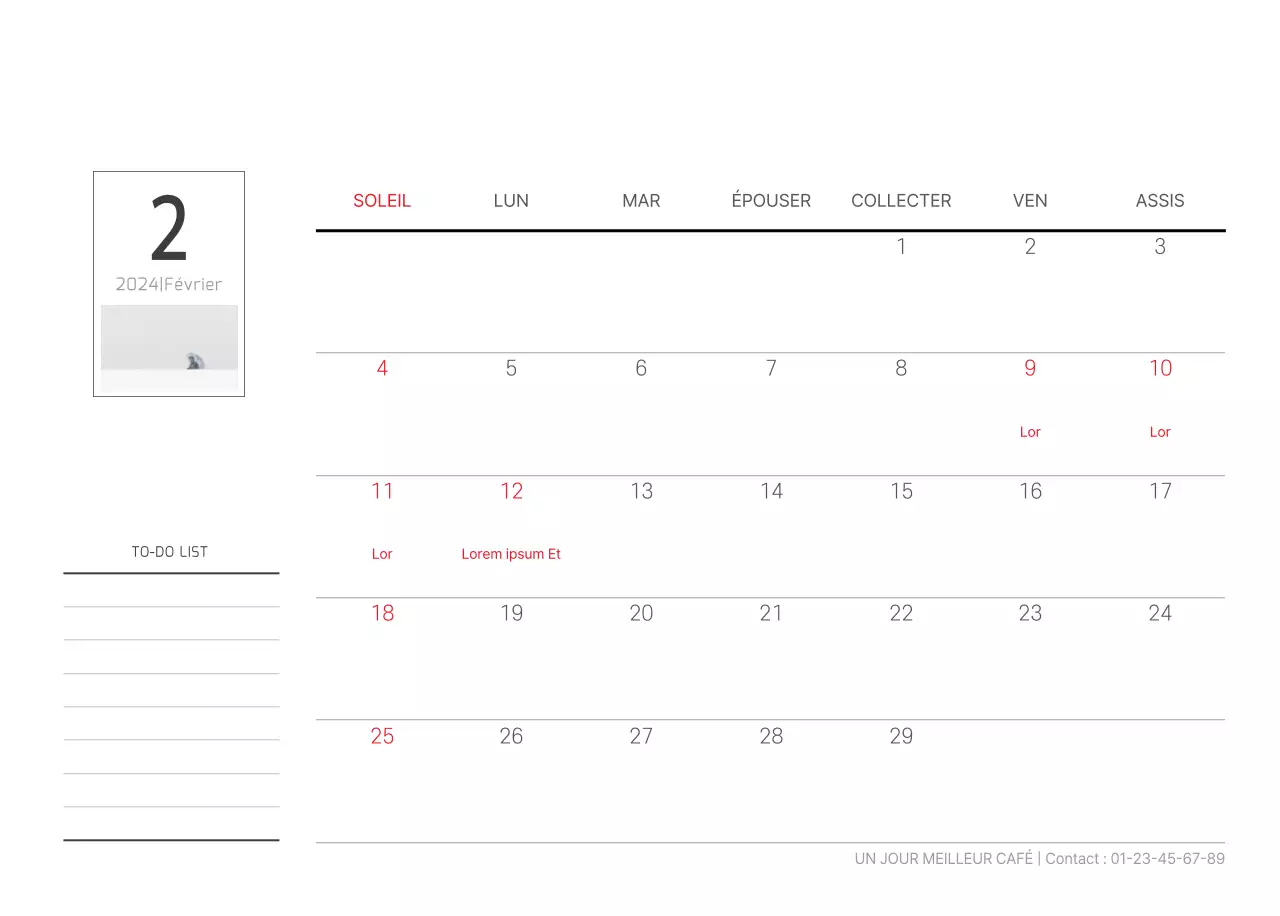 Nature botanique blanche et propre